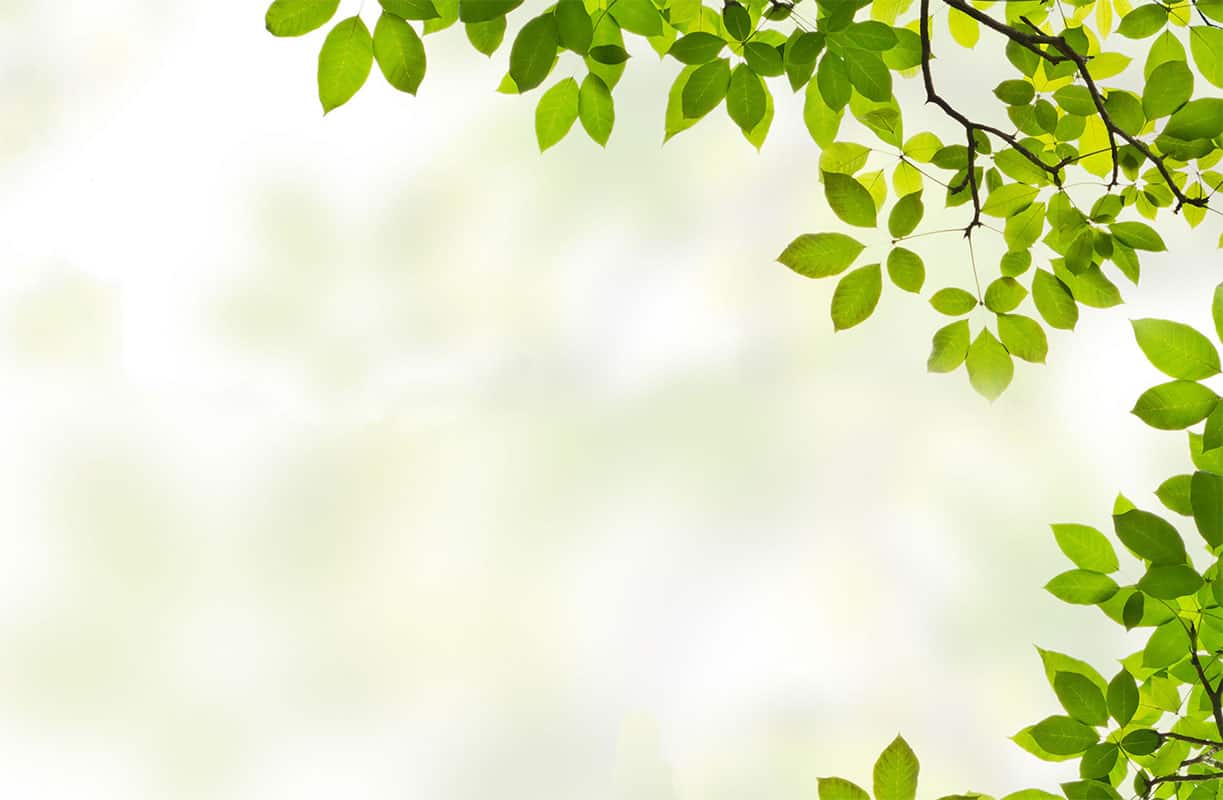 atic-email-image-green-leaves